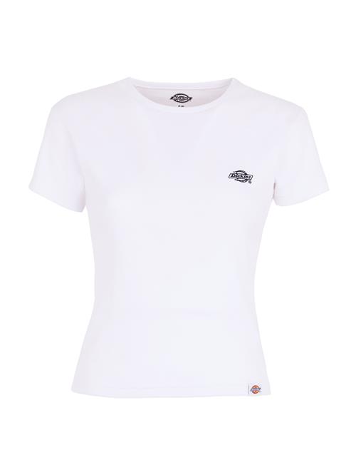 DICKIES Shirts 'Gladeville'  sort / hvid