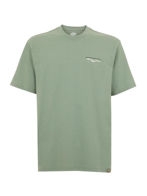 DICKIES Bluser & t-shirts 'Laryville'  lysegrøn / sort / hvid