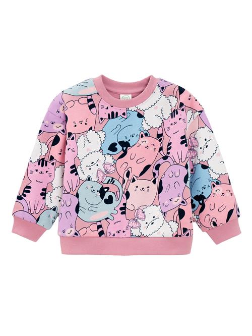 Cool Club Sweatshirt  blandingsfarvet / pitaya