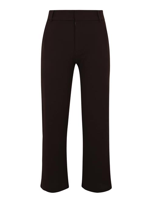 JDY Bukser med lægfolder 'JDYGEGGO'  mørkebrun