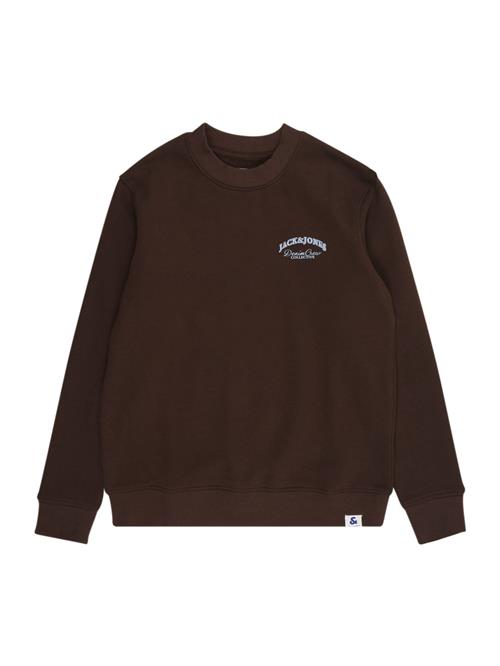 Jack & Jones Junior Sweatshirt  lyseblå / mørkebrun
