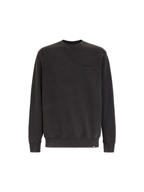 DICKIES Sweatshirt 'Plentywood'  sort