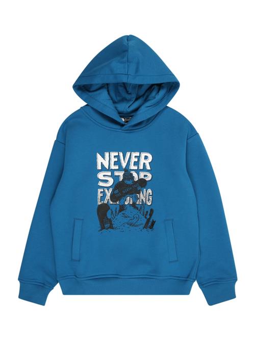 THE NORTH FACE Sportsweatshirt  blå / sort / hvid