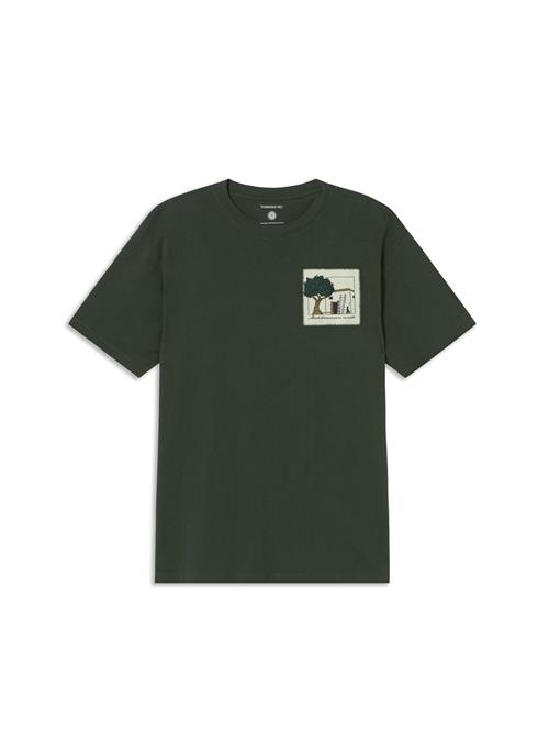 Thinking MU Bluser & t-shirts 'Aaron'  grøn / uldhvid