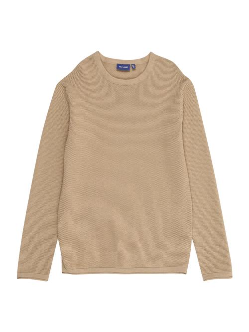 Only & Sons Junior Pullover 'OSJPANTER'  mørkebeige