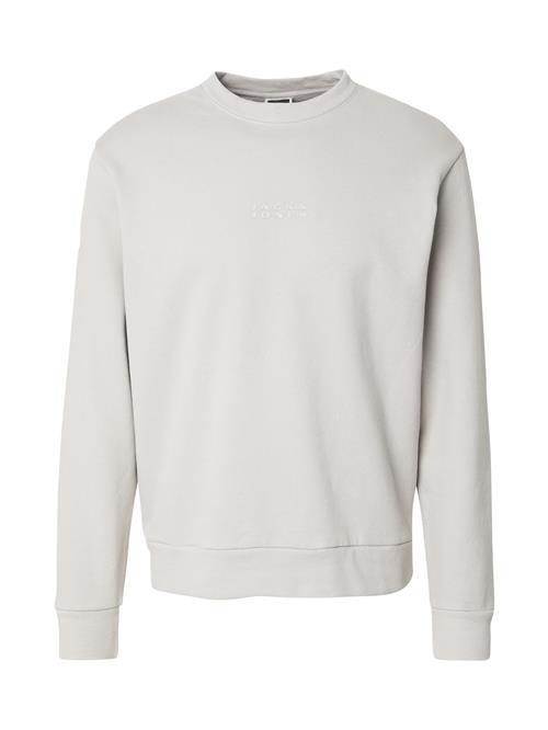 JACK & JONES Sweatshirt 'JCOSTANCE'  lysegrå