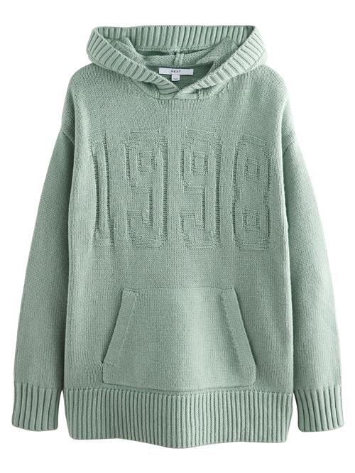 Next Pullover  lysegrøn