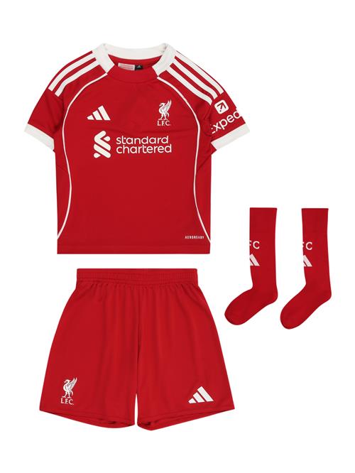 ADIDAS PERFORMANCE Træningsdragt 'FC Liverpool 25/26'  knaldrød / hvid