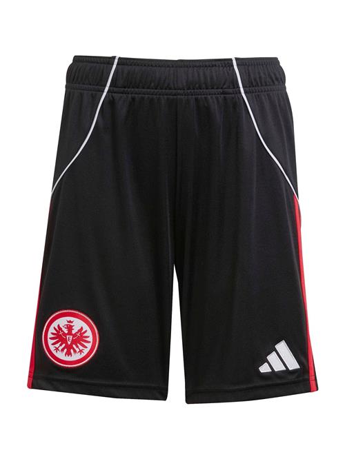 ADIDAS PERFORMANCE Sportsbukser 'Eintracht Frankfurt 25/26'  cranberry / sort / hvid