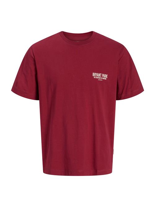 JACK & JONES Bluser & t-shirts 'JORYork'  bordeaux / hvid