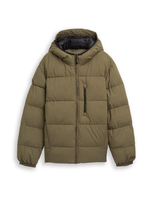 TOM TAILOR DENIM Vinterjakke  oliven