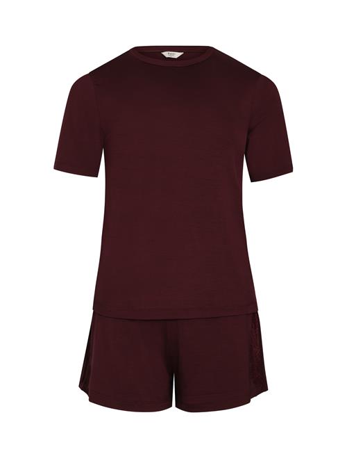 Dagi Shorty  bordeaux