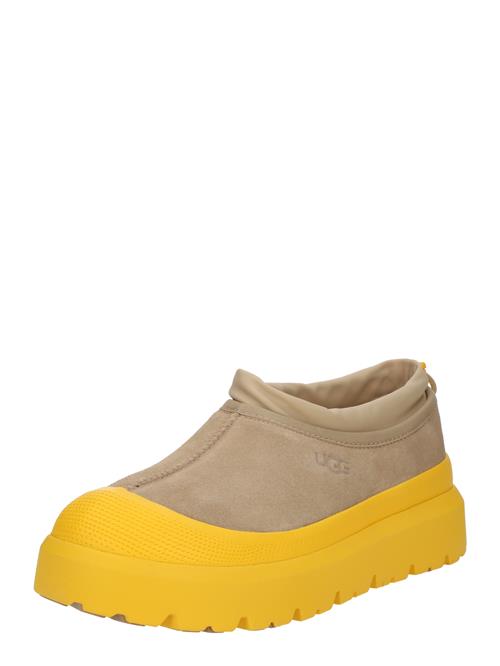 UGG Slipper 'Tasman'  brun / sennep