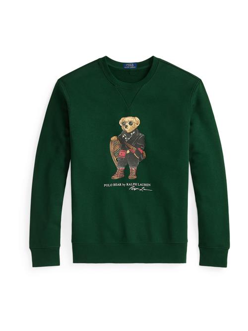 Polo Ralph Lauren Sweatshirt  brun / mørkegrøn / rød / sort / hvid