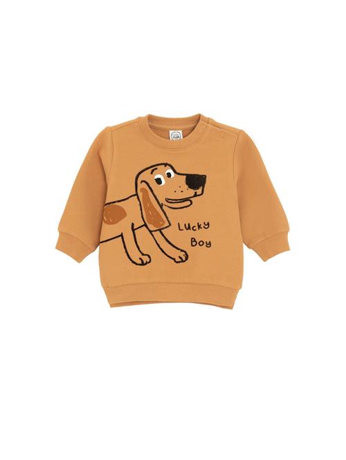 Cool Club Sweatshirt  brun / sort / hvid