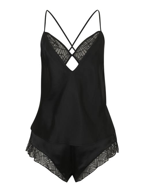 TRIUMPH Shorty 'A Weekend to Remember'  sort