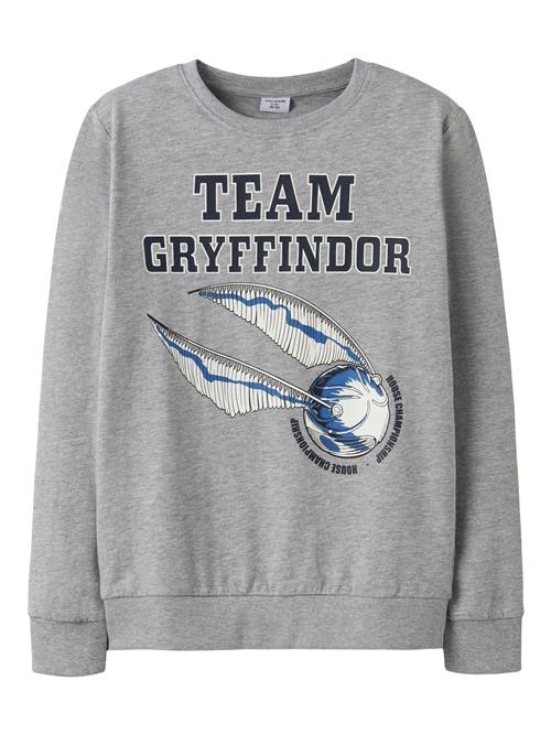 TWO SOON Sweatshirt 'Harry Potter'  grå / blandingsfarvet