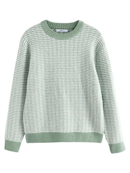 Next Pullover  jade / hvid