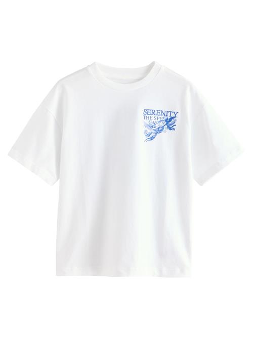 Next Shirts  blå / hvid