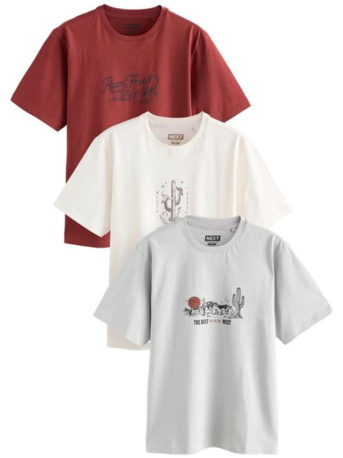 Next Bluser & t-shirts  grå / rustrød / sort