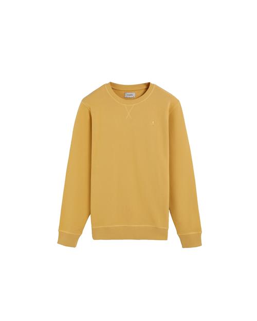 Scalpers Sweatshirt ' '  gul / sennep
