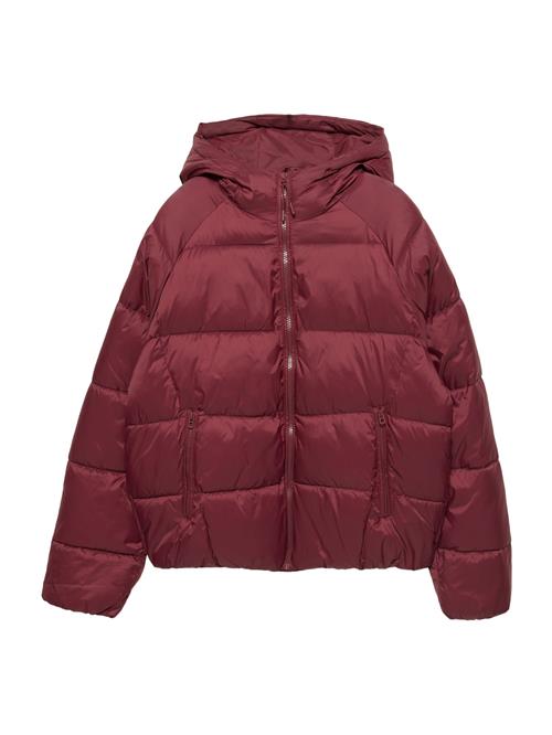 Pull&Bear Overgangsjakke  burgunder