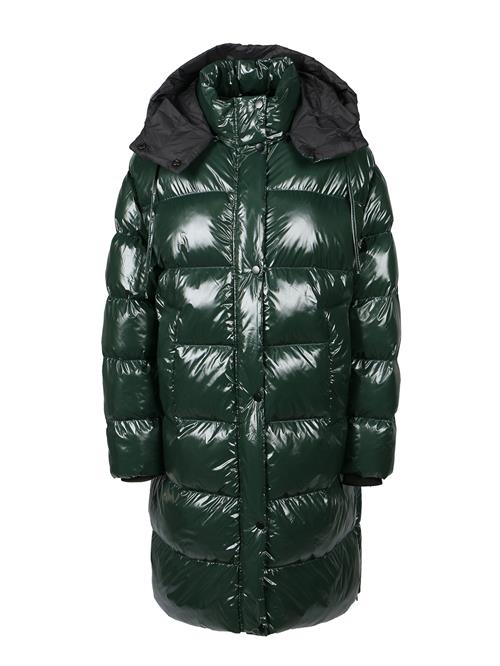 FREAKY NATION Vinterfrakke  mørkegrøn