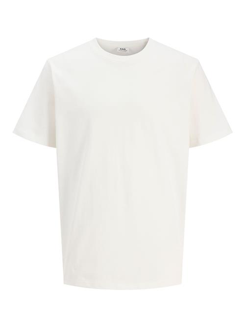 R.D.D. ROYAL DENIM DIVISION Bluser & t-shirts 'RDDTHOR'  lyserød / sort / hvid