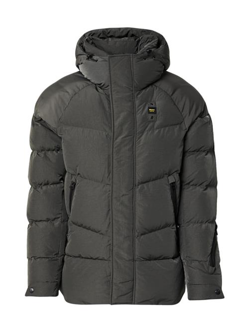 Blauer.USA Vinterjakke 'Crown'  gran