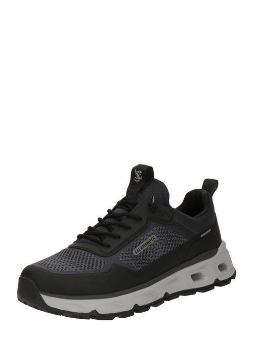 SALAMANDER Sneaker low  marin / sort