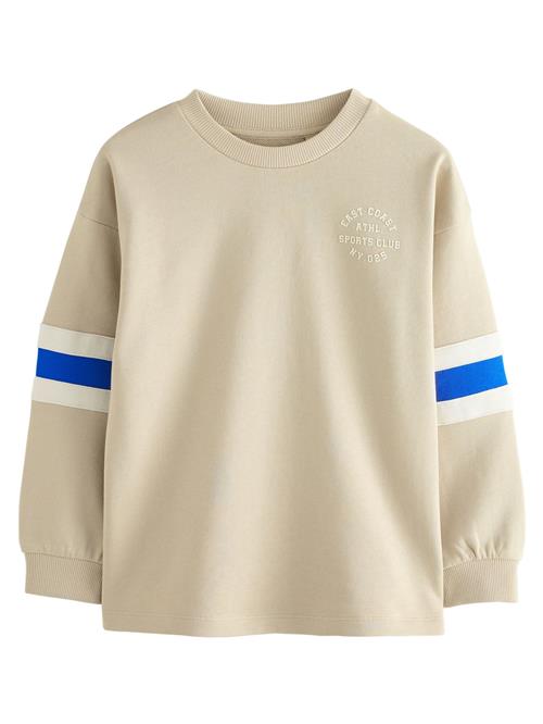 Next Shirts  blå / greige / hvid