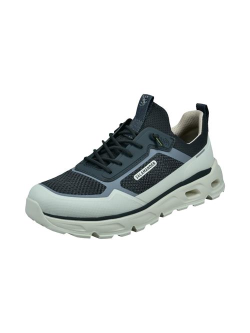 SALAMANDER Sneaker low  dueblå / petroleum / mint / sort