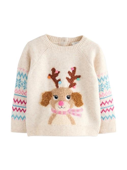Next Pullover 'Christmas Character'  ecru / lyseblå / lysebrun / pink