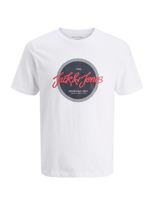 JACK & JONES Bluser & t-shirts 'JJURBAN'  blodrød / sort / hvid