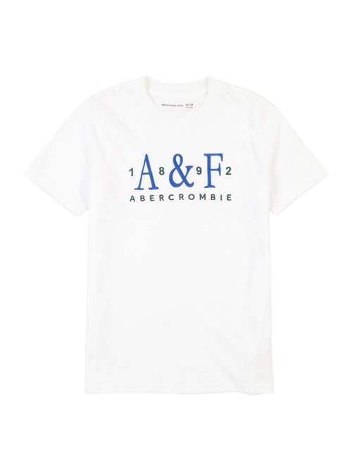 Abercrombie & Fitch Shirts  blå / marin / hvid
