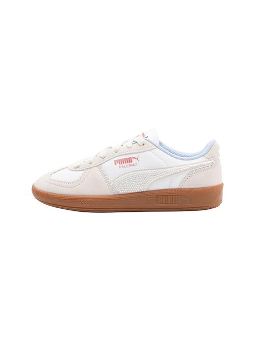 PUMA Sneaker low 'Palermo'  hvid / offwhite