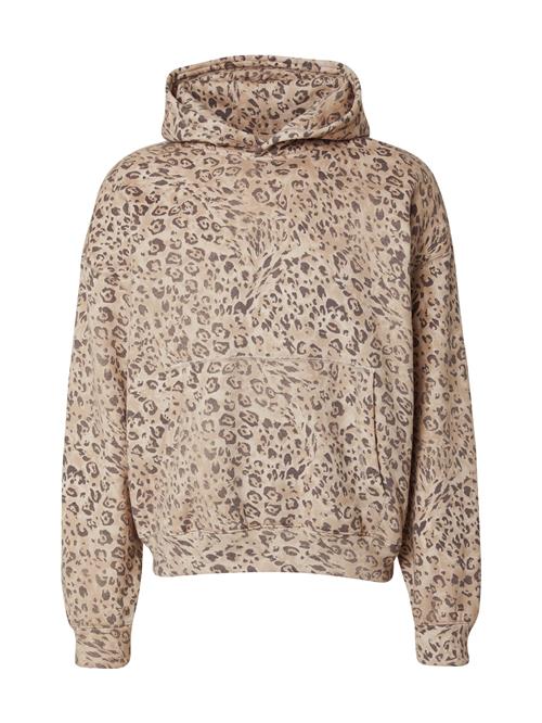 HOLLISTER Sweatshirt  creme / choko / cappuccino