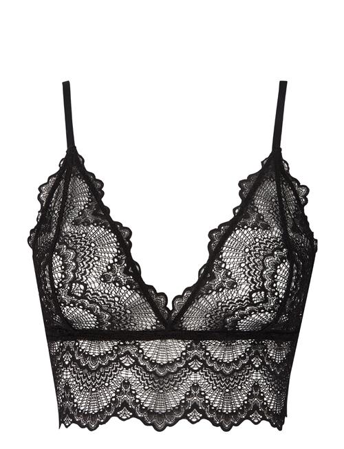 Understatement Underwear | Saboteur Lace Bralette Top | S