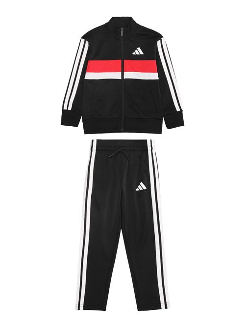 ADIDAS SPORTSWEAR Træningsdragt 'Seasonal Essentials Tiberio'  rød / sort / hvid