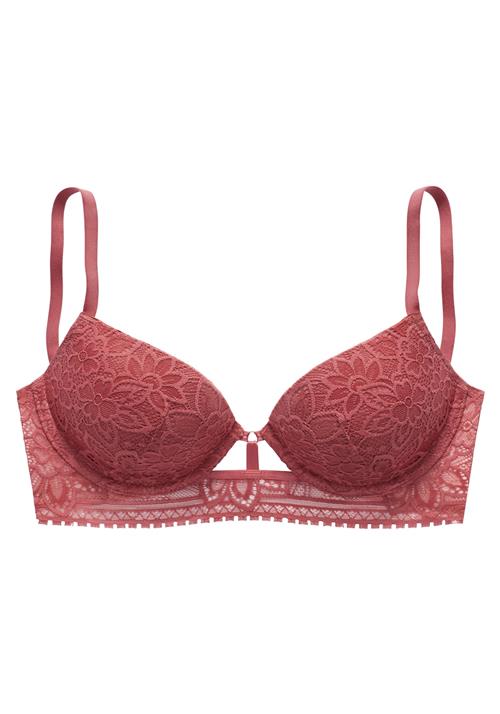 LASCANA BH  kastaniebrun