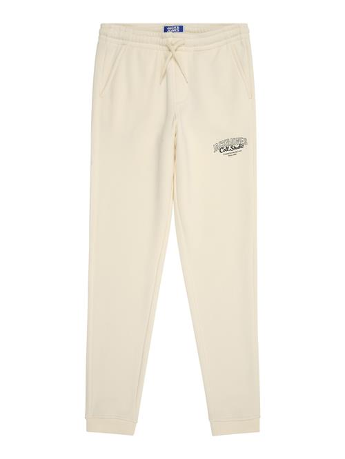 Jack & Jones Junior Bukser 'JPSTGORDON MAKOTO'  sort / uldhvid