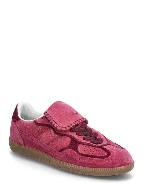 ALOHAS | Tb.490 Club Suede Raspberry Leather Sneakers | 40