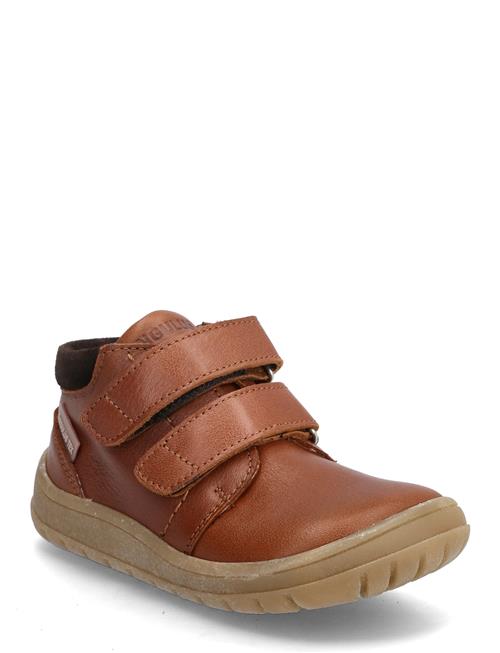 ANGULUS | Shoes - Flat - With Velcro | 24