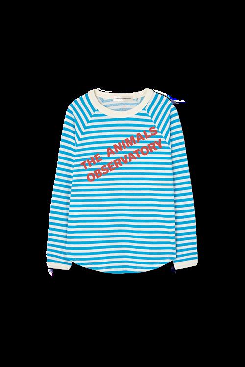 The Animals Observatory Anteater Langærmet T-shirt Blue  Blue 3 Y  Blå  3 år  mand