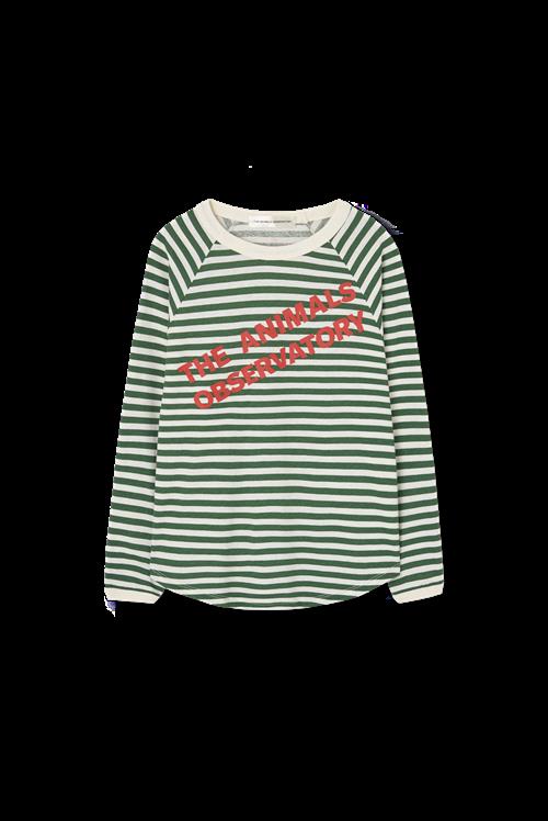 The Animals Observatory Anteater Langærmet T-shirt Dark Garden  Dark Garden 4 Y  Grøn  4 år  mand