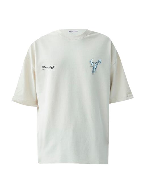 VAMOS CLO Bluser & t-shirts  stone / blandingsfarvet