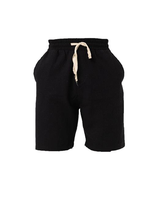 VAMOS CLO Bukser 'Limnophila'  sort