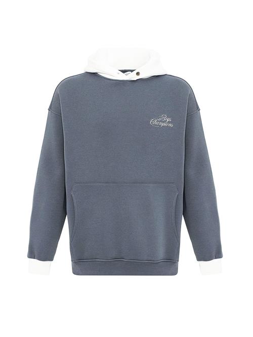 VAMOS CLO Sweatshirt  basalgrå / hvid