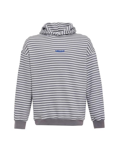 VAMOS CLO Sweatshirt  blå / grå / hvid