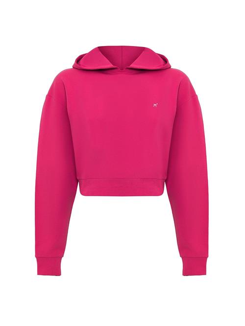 Williot Sweatshirt  hindbær